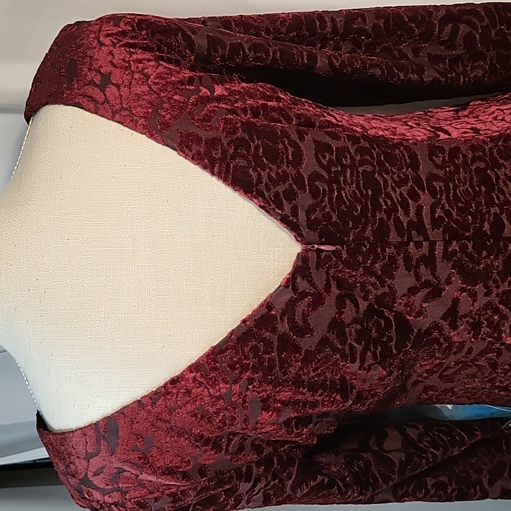 SLNY Deep Red Velvet Dress - Picture 5 of 7